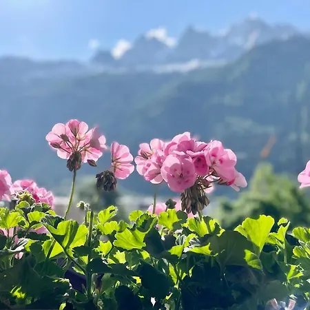 Appartement Breverly Hills Overlooking Spectacular Mont-blanc Chamonix