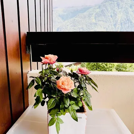 Breverly Hills Overlooking Spectacular Mont-blanc Appartement